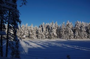 Finland