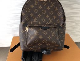 Louis Vuitton Palm Springs PM