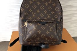 Louis Vuitton Palm Springs PM